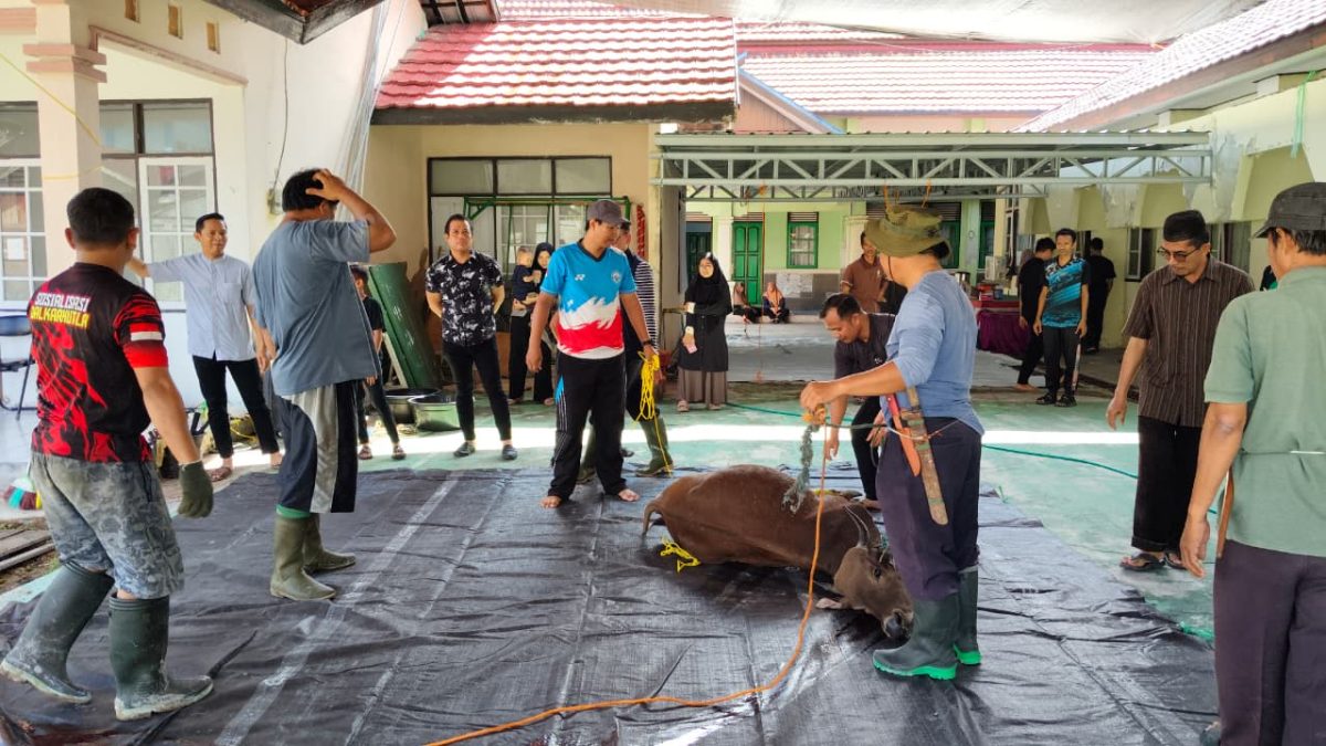 Dua Hewan Kurban Disembelih, Kakankemenag Ingin Semangat Berbagi Terasa Nyata
