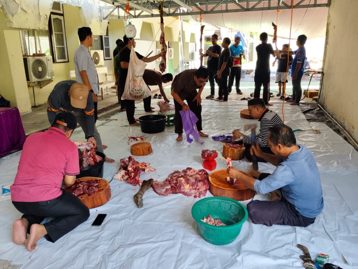 Panitia Kurban Kemenag Barsel Kompak Tangani Penyembelihan hingga Distribusi