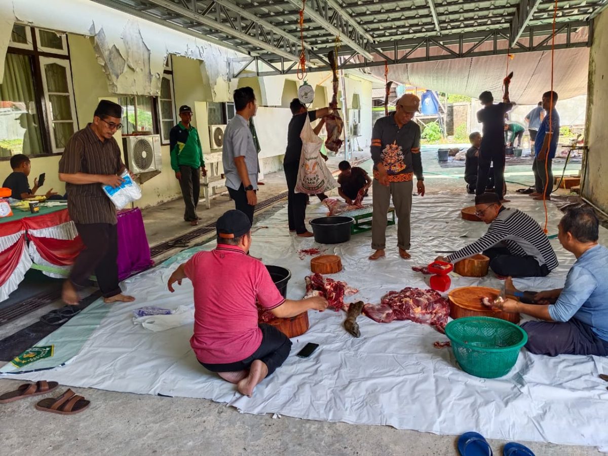 Panitia Kurban Kemenag Barsel Kompak Tangani Penyembelihan hingga Distribusi